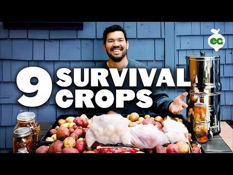 Best Survival Garden Crops for August Planting | Food Security