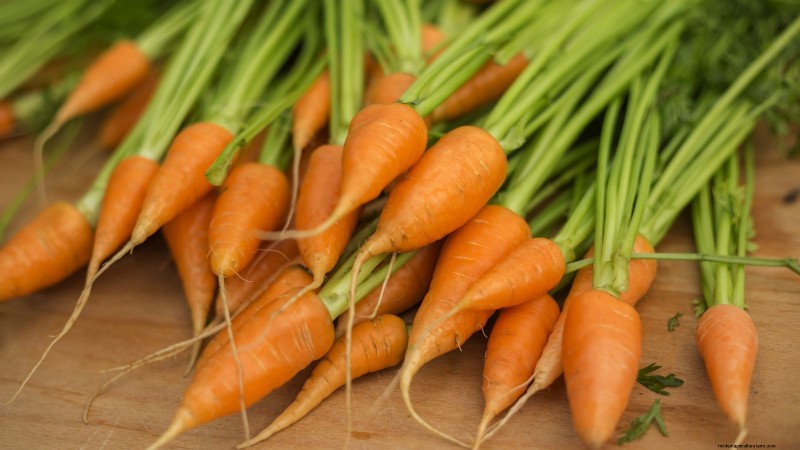 Best Survival Garden Crops for August Planting | Food Security