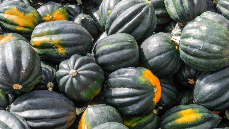 Best Survival Garden Crops for August Planting | Food Security