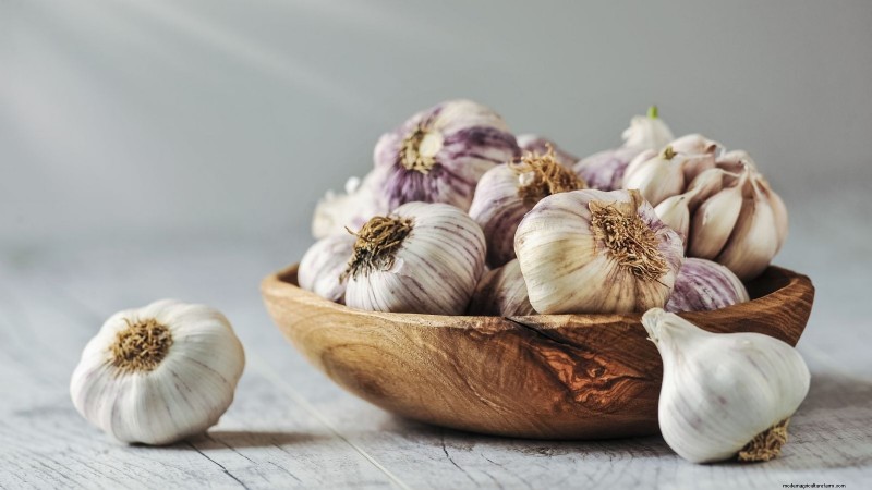 Garlic Harvest Guide: Knowing When to Pick Your Crop