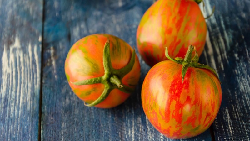Best Pole Tomato Varieties for Home Gardens: High-Yield & Disease-Resistant