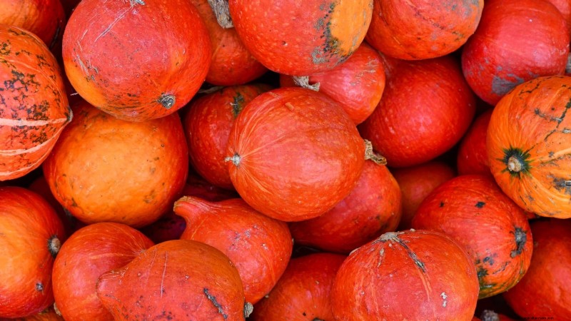 Heirloom Squash Varieties: A Guide to Unique Flavors & History