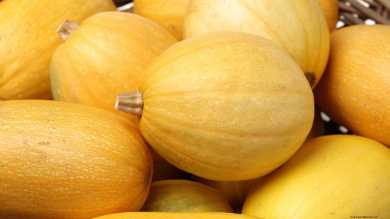 Heirloom Squash Varieties: A Guide to Unique Flavors & History