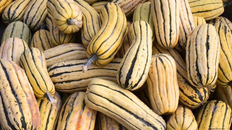 Heirloom Squash Varieties: A Guide to Unique Flavors & History