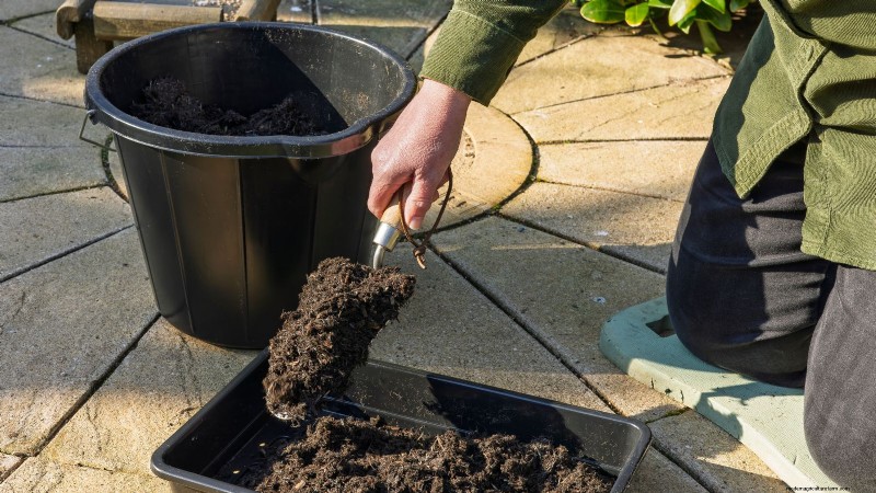 Grow Healthy Tomatoes: An Innovative Upside-Down Gardening Technique