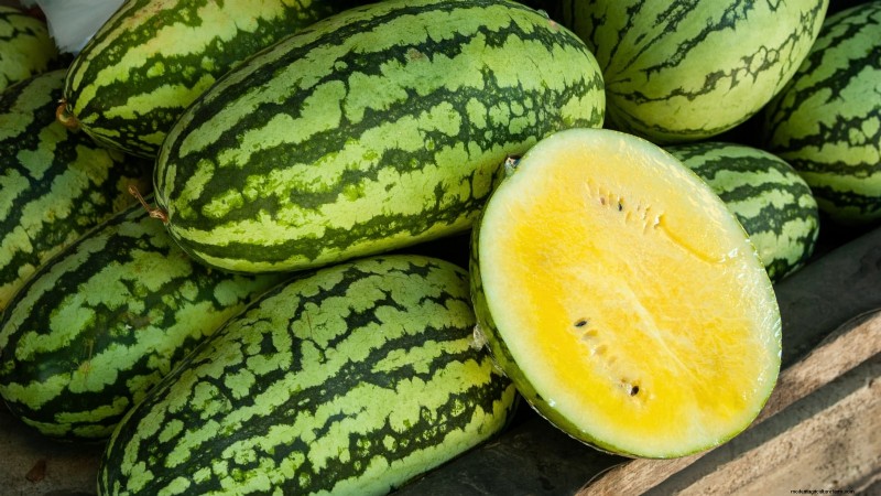 Watermelon Growing Time: From Seed to Harvest & Size