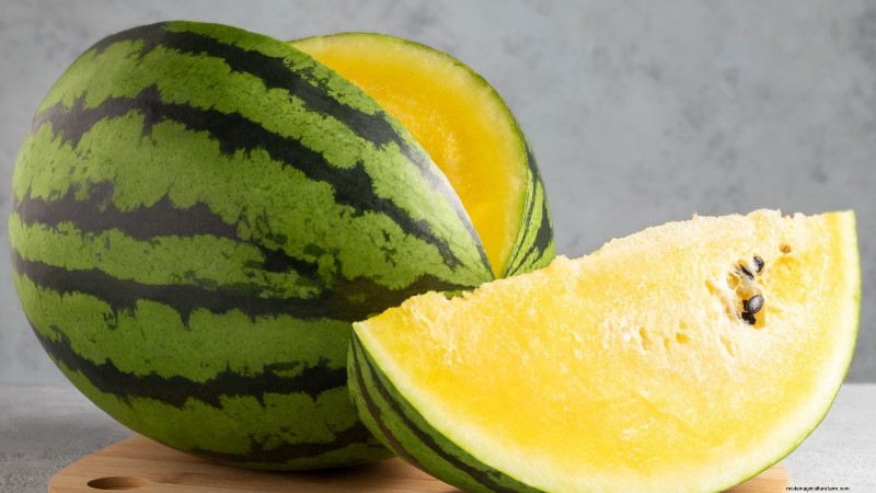 Best Mini Watermelon Varieties for Container Gardening