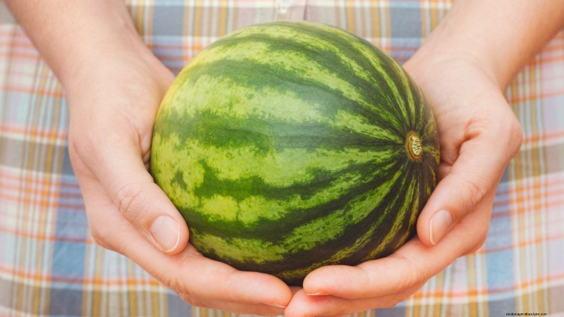 Best Mini Watermelon Varieties for Container Gardening