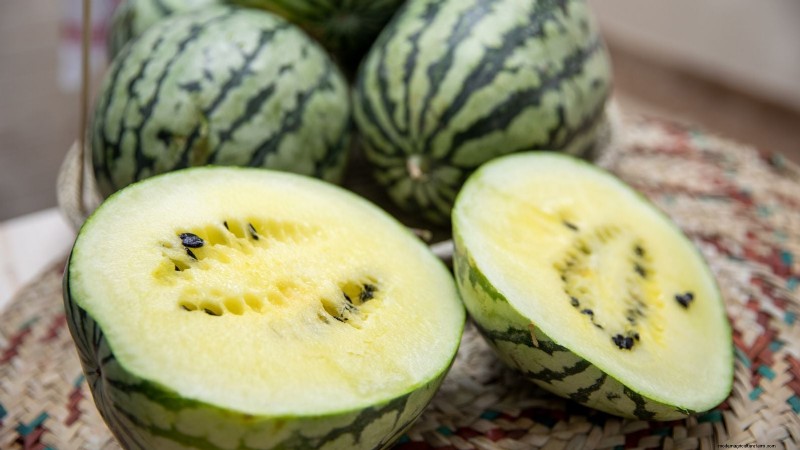 Best Mini Watermelon Varieties for Container Gardening