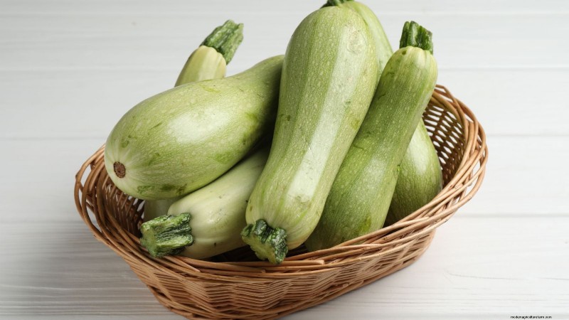 Best Heirloom Zucchini Varieties to Grow - Flavor & Yield
