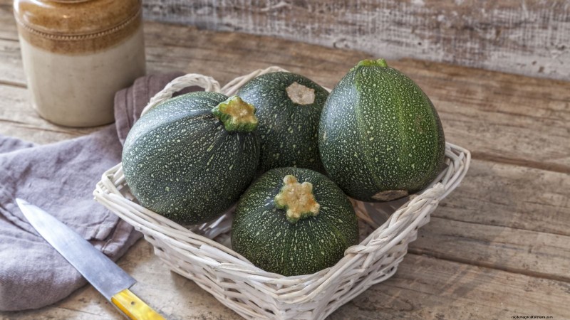 Best Heirloom Zucchini Varieties to Grow - Flavor & Yield
