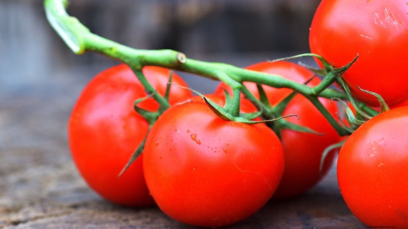 Best Slicer Tomatoes to Grow: Top 15 Varieties for Juicy Slices