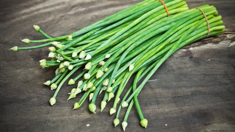 Onion Bolting: Causes, Prevention & What to Do