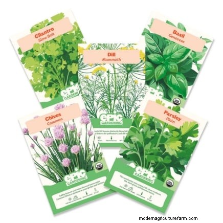 Organic Herb Gardening: A Beginner s Guide to Growing Flavorful Herbs