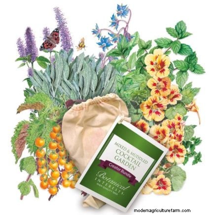 Organic Herb Gardening: A Beginner s Guide to Growing Flavorful Herbs