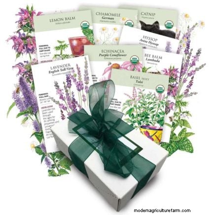 Organic Herb Gardening: A Beginner s Guide to Growing Flavorful Herbs