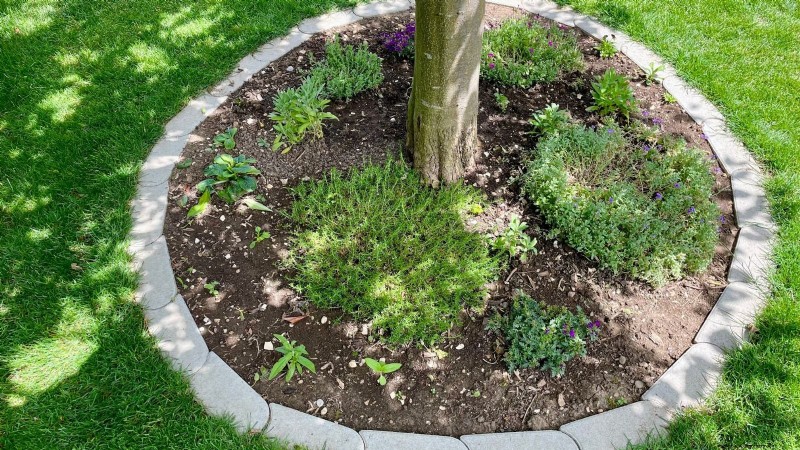 Organic Herb Gardening: A Beginner s Guide to Growing Flavorful Herbs