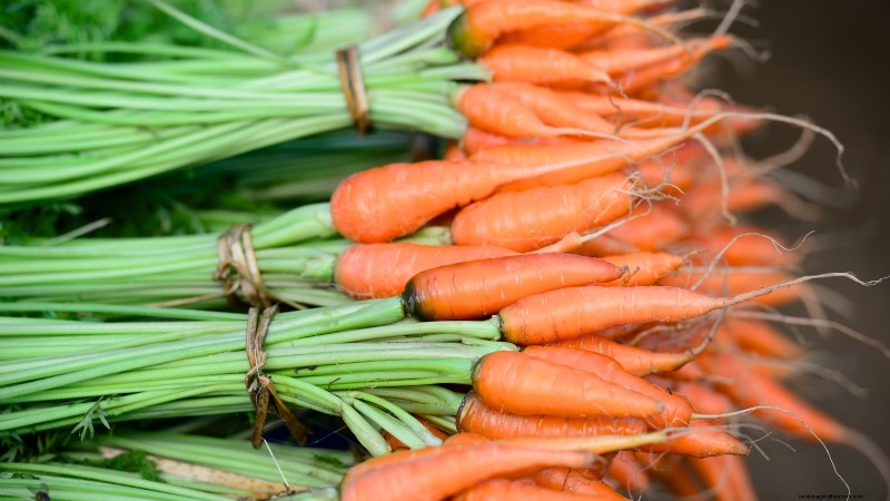 Top Crops for High Yields in Small Gardens
