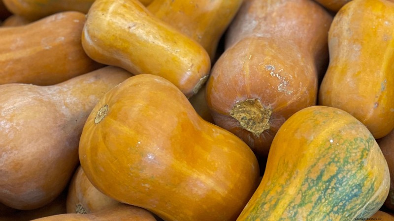 Top Crops for High Yields in Small Gardens