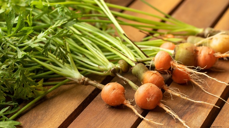 Top 19 Edible Plants for Container Gardening | [Year]