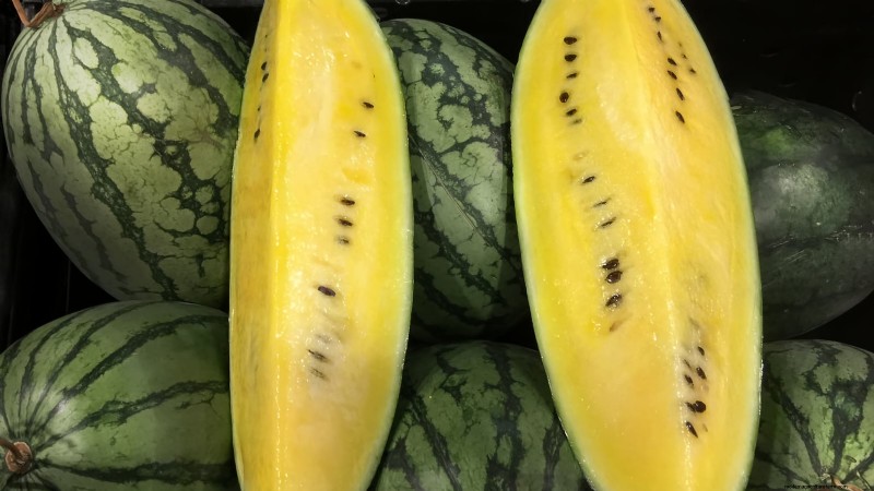 Grow Delicious Melons: 9 Varieties for Your Home Garden