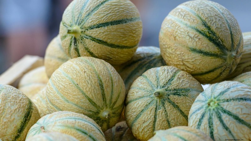 Grow Delicious Melons: 9 Varieties for Your Home Garden