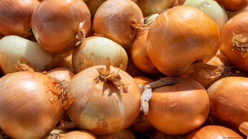 Best Onion Varieties to Plant in March | Flavor & Climate Guide