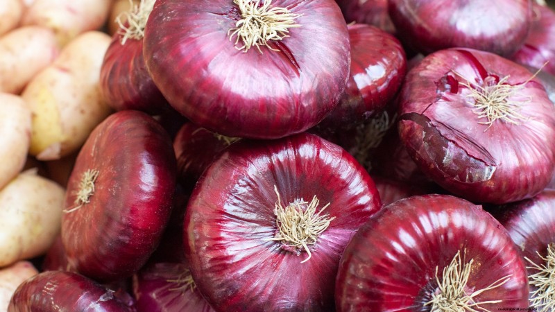 Best Onion Varieties to Plant in March | Flavor & Climate Guide