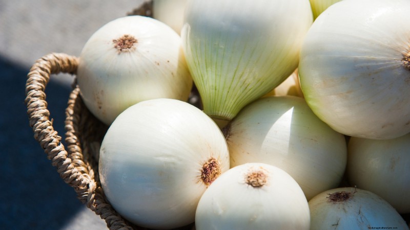 Best Onion Varieties to Plant in March | Flavor & Climate Guide