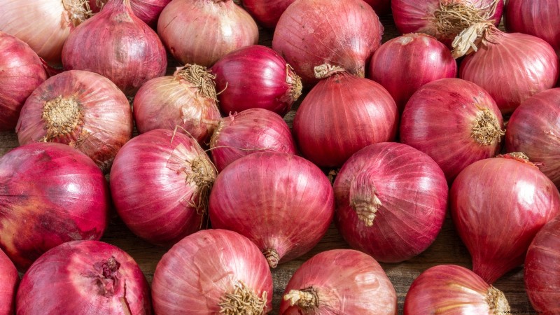 Best Onion Varieties to Plant in March | Flavor & Climate Guide