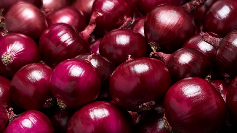Best Onion Varieties to Plant in March | Flavor & Climate Guide