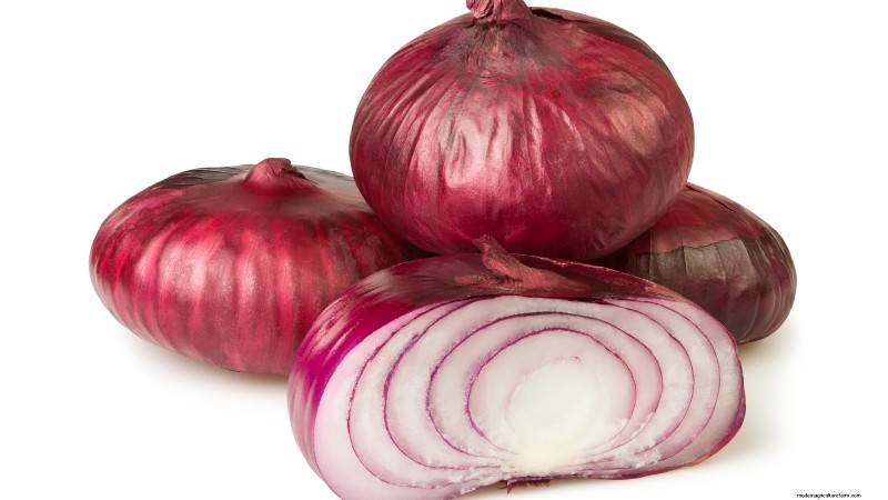 Best Onion Varieties to Plant in March | Flavor & Climate Guide