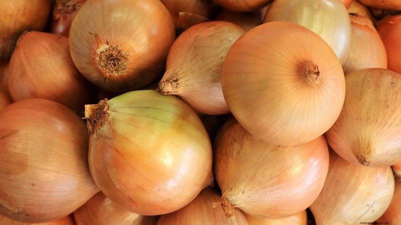 Best Onion Varieties to Plant in March | Flavor & Climate Guide