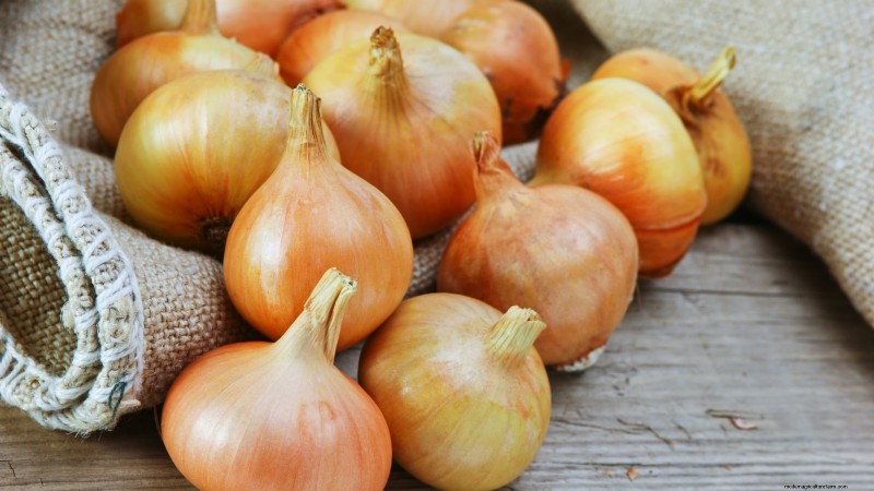 Best Onion Varieties to Plant in March | Flavor & Climate Guide