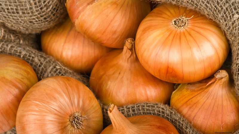 Best Onion Varieties to Plant in March | Flavor & Climate Guide