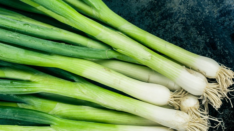 Best Onion Varieties to Plant in March | Flavor & Climate Guide