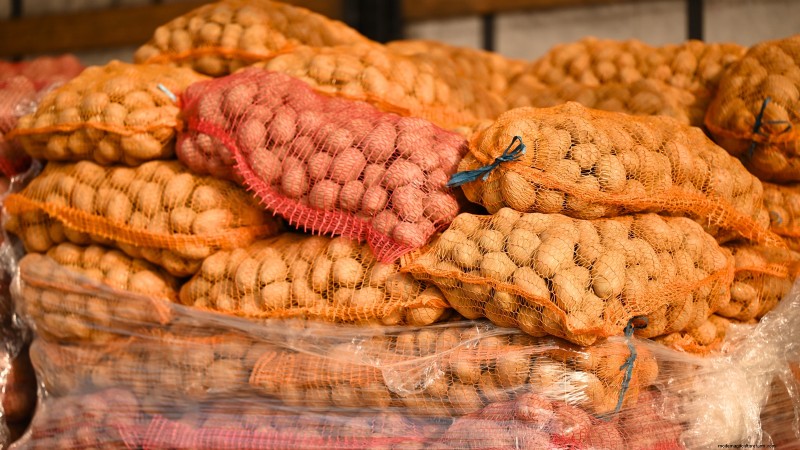 Growing Potatoes from Grocery Store Potatoes: A Beginner s Guide