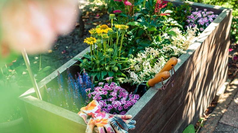 Spring Container Garden Ideas: 13 Stunning Designs