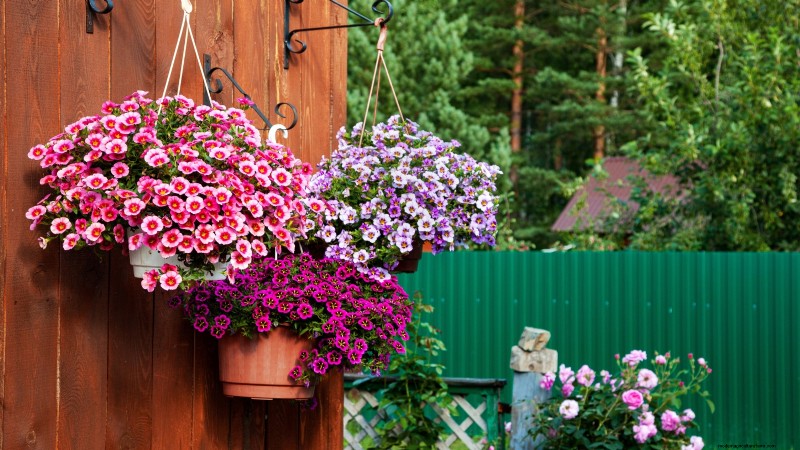 Spring Container Garden Ideas: 13 Stunning Designs