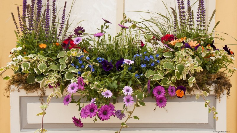 Spring Container Garden Ideas: 13 Stunning Designs