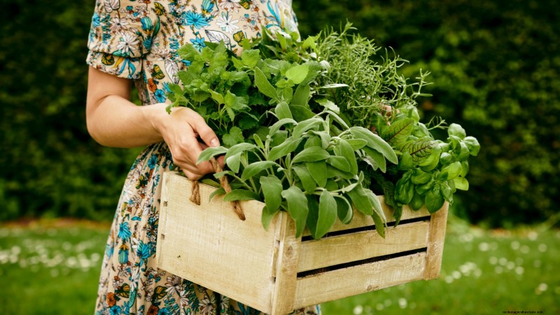 Spring Container Garden Ideas: 13 Stunning Designs