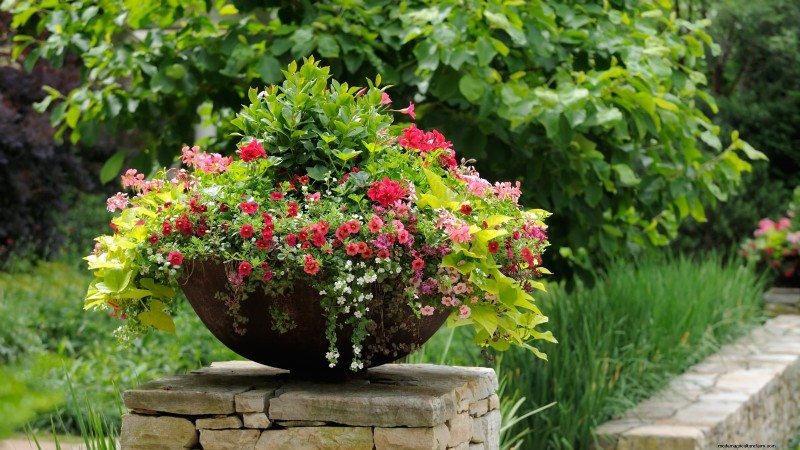 Spring Container Garden Ideas: 13 Stunning Designs