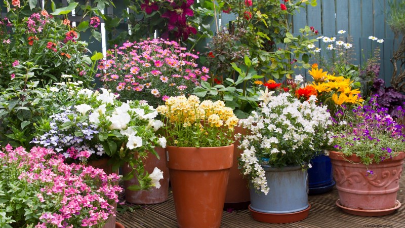 Spring Container Garden Ideas: 13 Stunning Designs