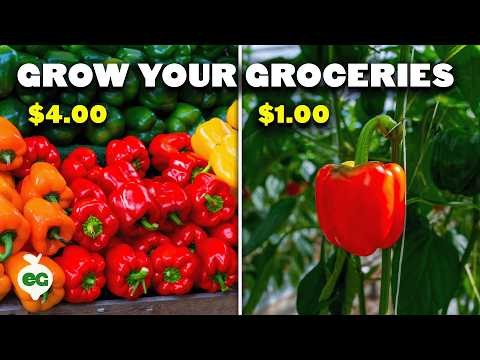 Grow Your Own Food: 11 Crops to Save on Groceries