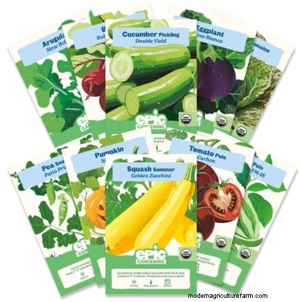 Grow Food at Home: A Beginner s Guide to Backyard Survival Gardening