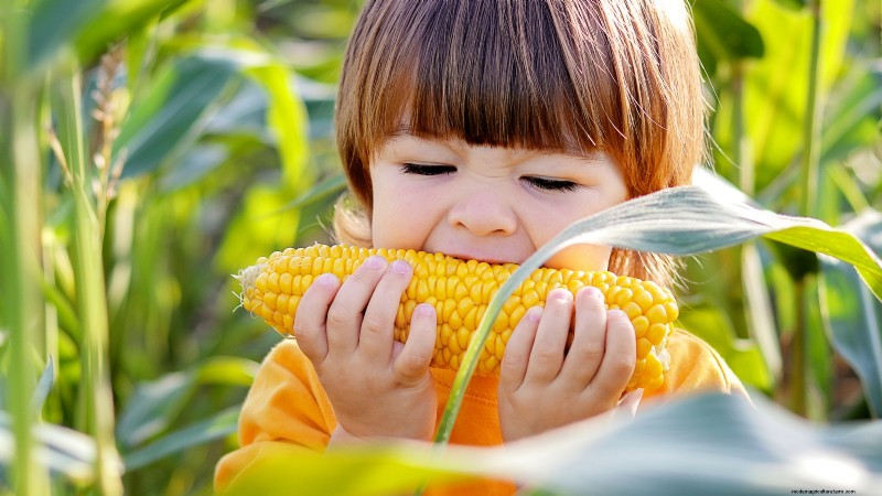 Grow Food at Home: A Beginner s Guide to Backyard Survival Gardening