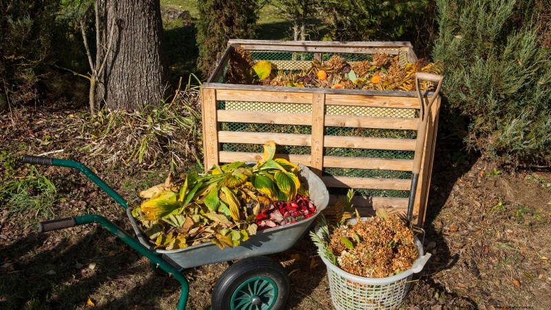 Grow Food at Home: A Beginner s Guide to Backyard Survival Gardening