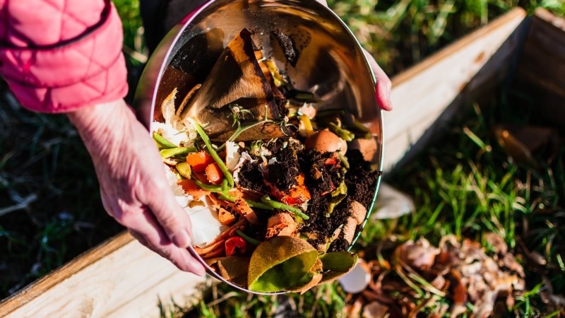Grow Food at Home: A Beginner s Guide to Backyard Survival Gardening