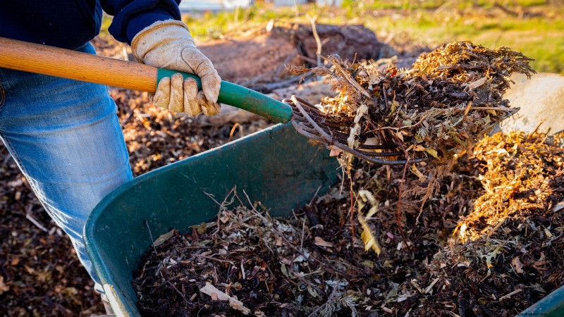 Grow Food at Home: A Beginner s Guide to Backyard Survival Gardening