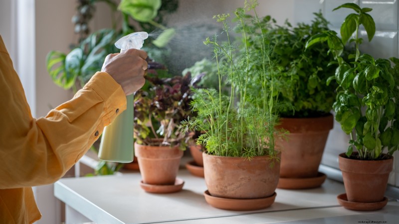 Grow Food at Home: A Beginner s Guide to Backyard Survival Gardening